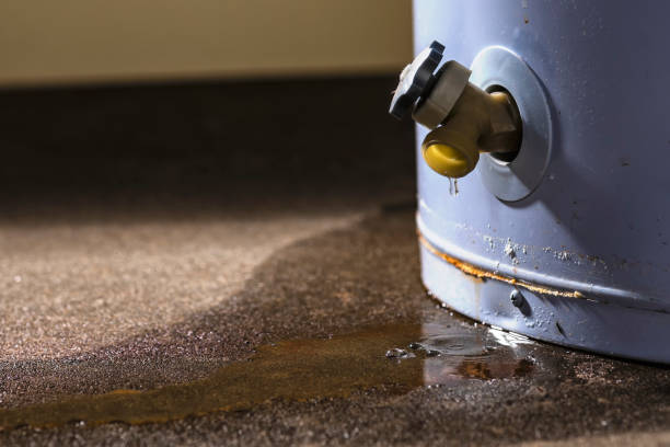 Best Local water damage restoration  in Fitchburg, WI