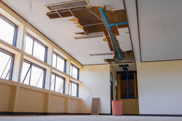 Best Fire Damage Restoration  in Fitchburg, WI