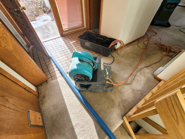 Best Fire Damage Restoration  in Fitchburg, WI